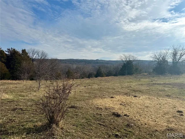 $325,000 | 0 Cedar Creek Road, Irondale, MO 63648