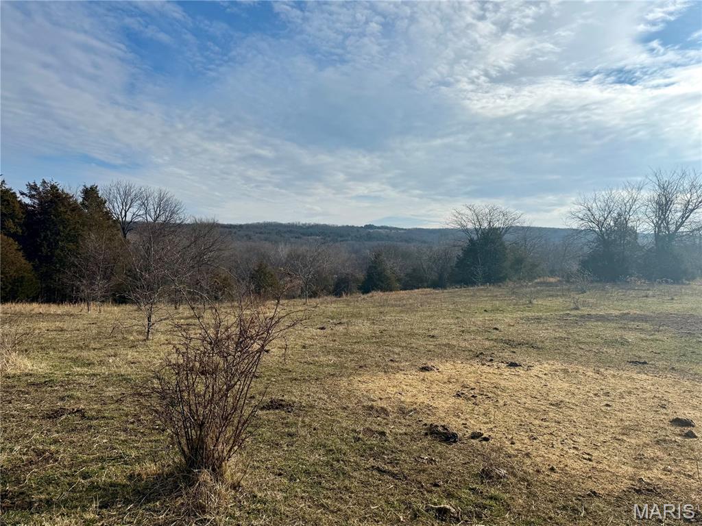 0 Cedar Creek Road Irondale, MO 63648 - Photo 3 of 51