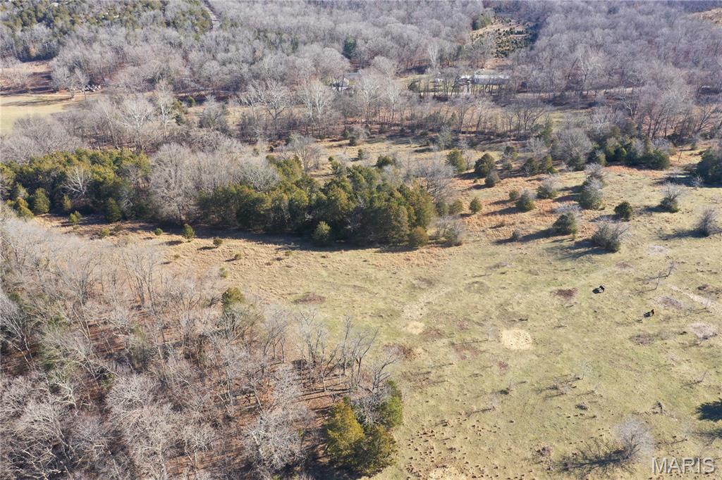 0 Cedar Creek Road Irondale, MO 63648 - Photo 31 of 51