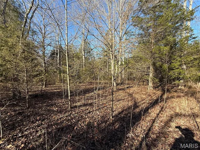 $325,000 | 0 Cedar Creek Road, Irondale, MO 63648