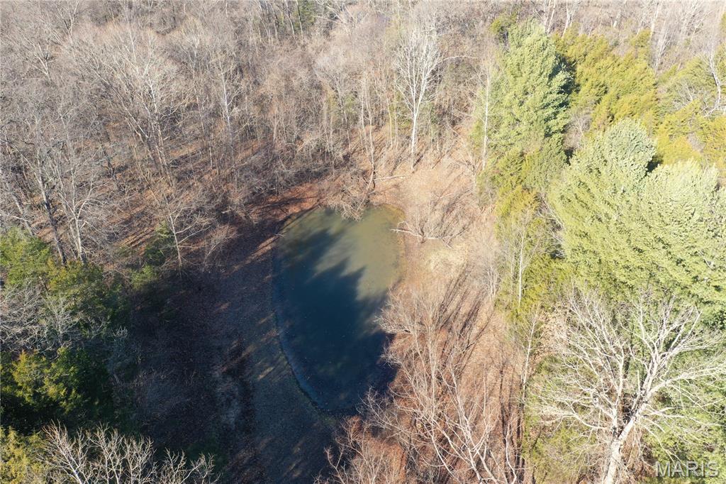 0 Cedar Creek Road Irondale, MO 63648 - Photo 35 of 51