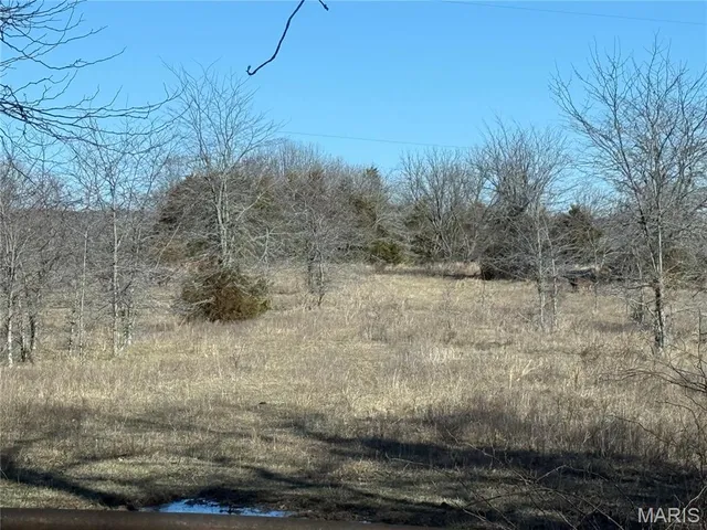 $325,000 | 0 Cedar Creek Road, Irondale, MO 63648