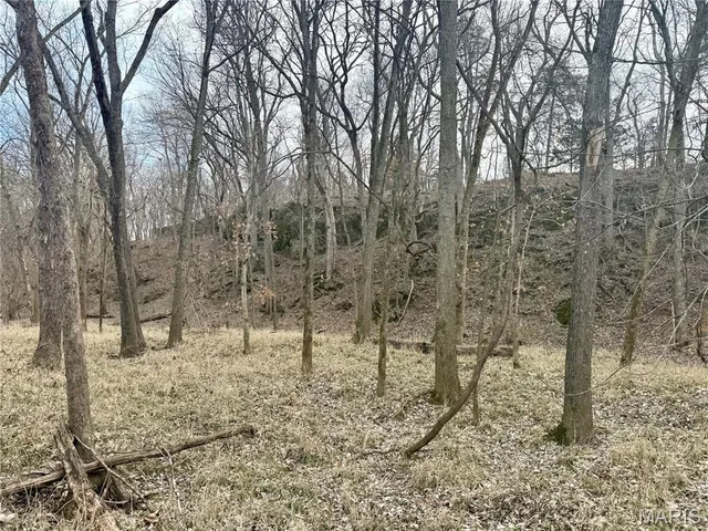 $325,000 | 0 Cedar Creek Road, Irondale, MO 63648