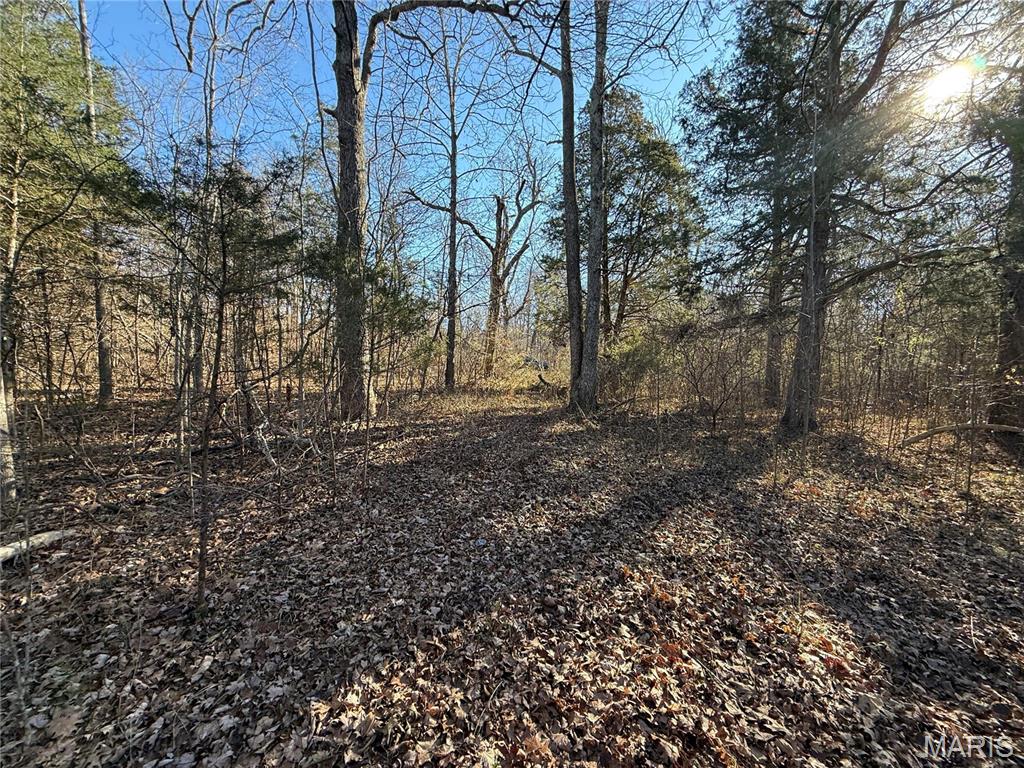 0 Cedar Creek Road Irondale, MO 63648 - Photo 42 of 51