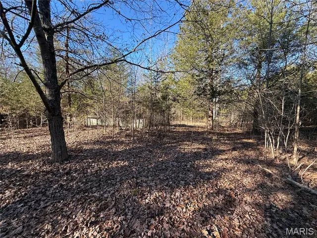 $325,000 | 0 Cedar Creek Road, Irondale, MO 63648