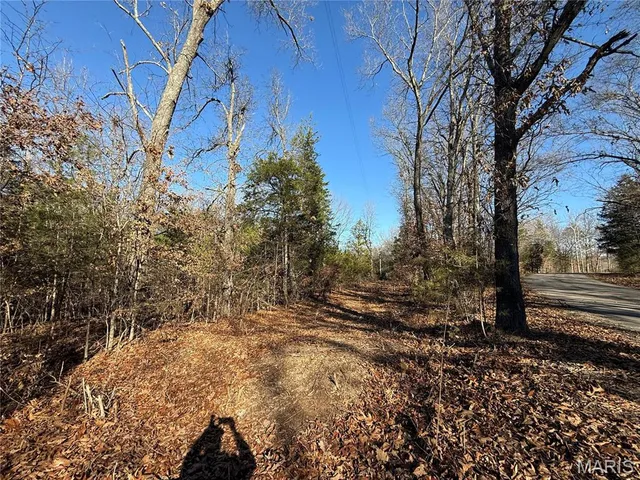 $325,000 | 0 Cedar Creek Road, Irondale, MO 63648