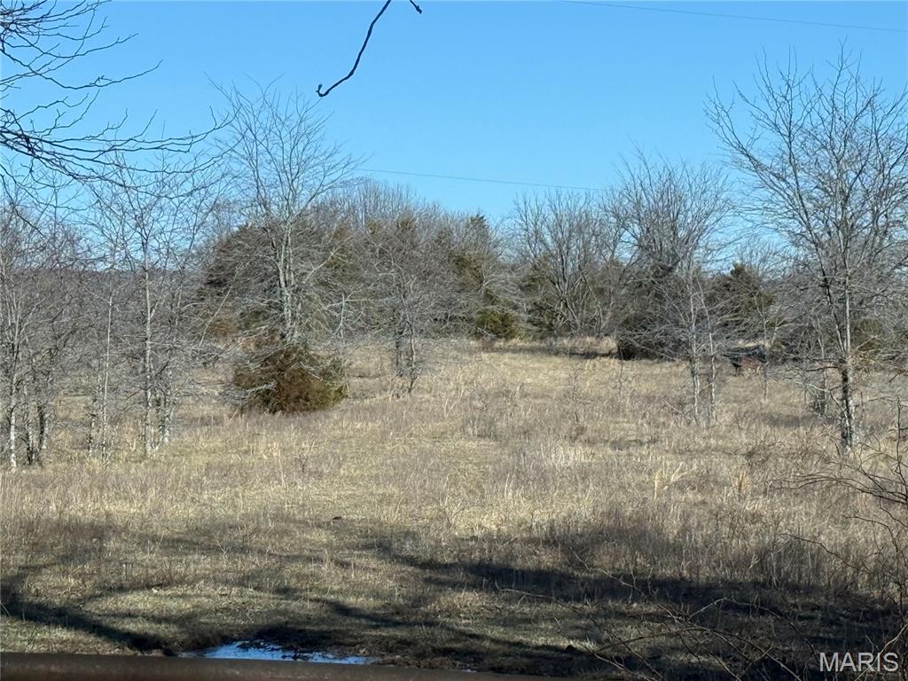 0 Cedar Creek Road Irondale, MO 63648 - Photo 47 of 51