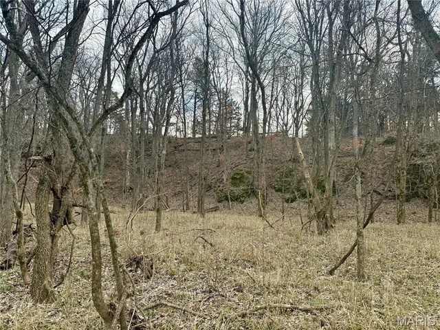 $325,000 | 0 Cedar Creek Road, Irondale, MO 63648