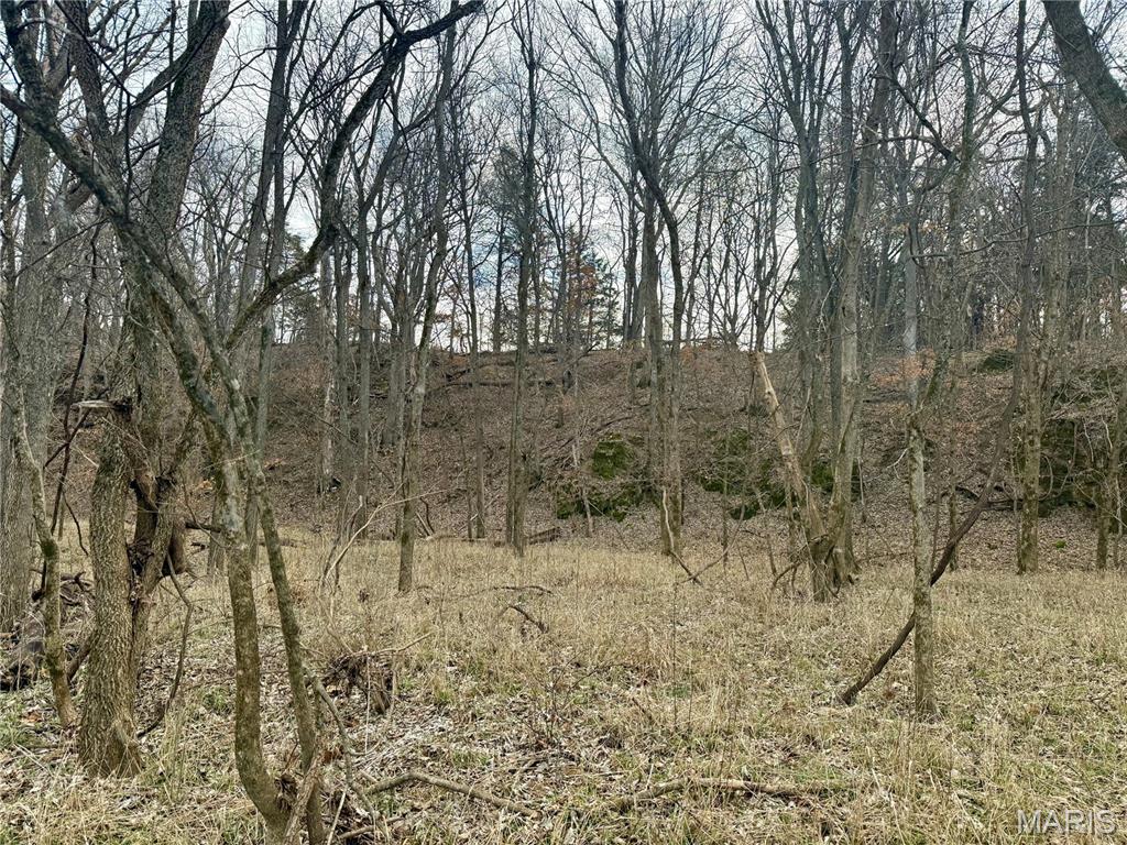 0 Cedar Creek Road Irondale, MO 63648 - Photo 49 of 51