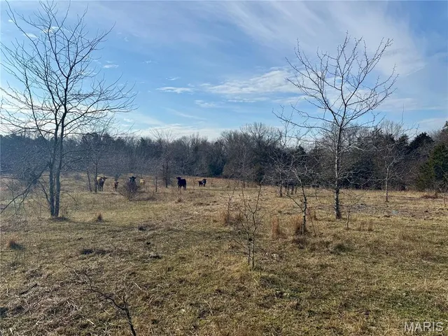 $325,000 | 0 Cedar Creek Road, Irondale, MO 63648