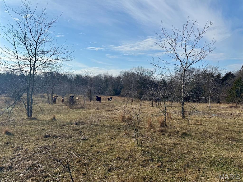 0 Cedar Creek Road Irondale, MO 63648 - Photo 51 of 51