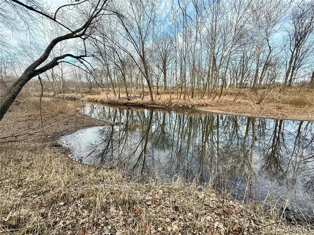 $325,000 | 0 Cedar Creek Road, Irondale, MO 63648