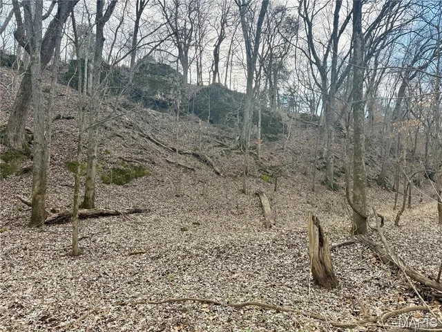 $325,000 | 0 Cedar Creek Road, Irondale, MO 63648