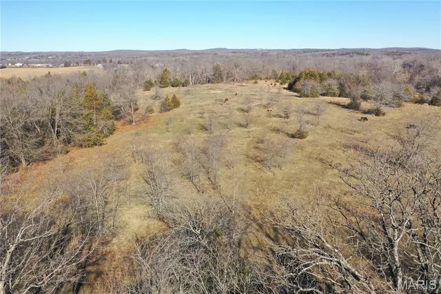 $325,000 | 0 Cedar Creek Road, Irondale, MO 63648