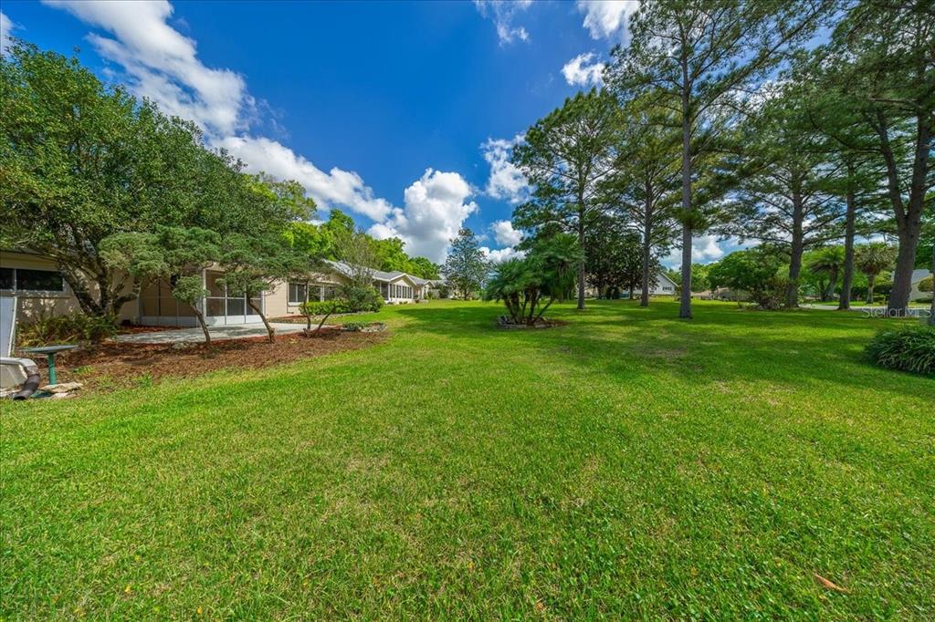 9377 Southwest 90th Court, Unit E Ocala, FL 34481 - Photo 60 of 77 a view of a park with large trees