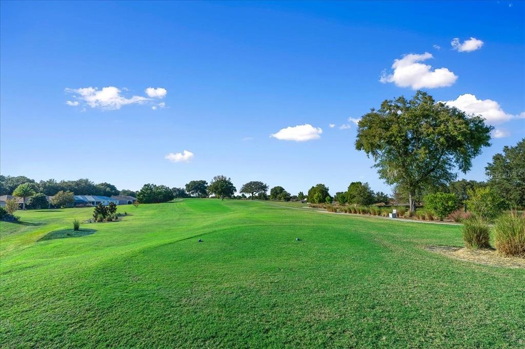 9377 Southwest 90th Court, Unit E Ocala, FL 34481 - Photo 73 of 77 a view of a big yard with a house