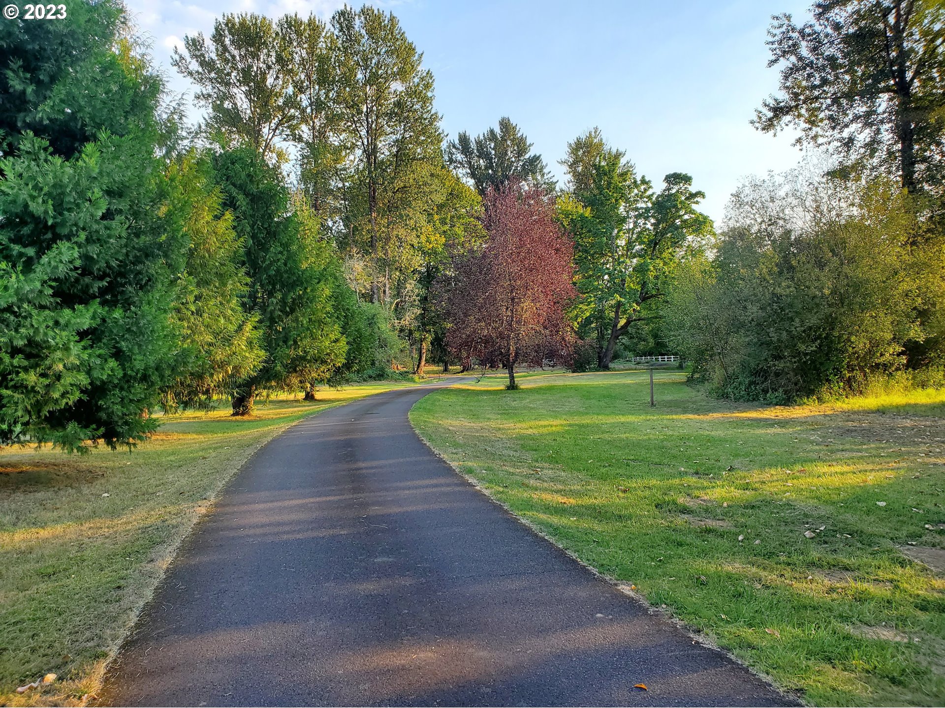 Mckenzie Highway Springfield, OR 97478 - Photo 14 of 29 a view of a park with large trees