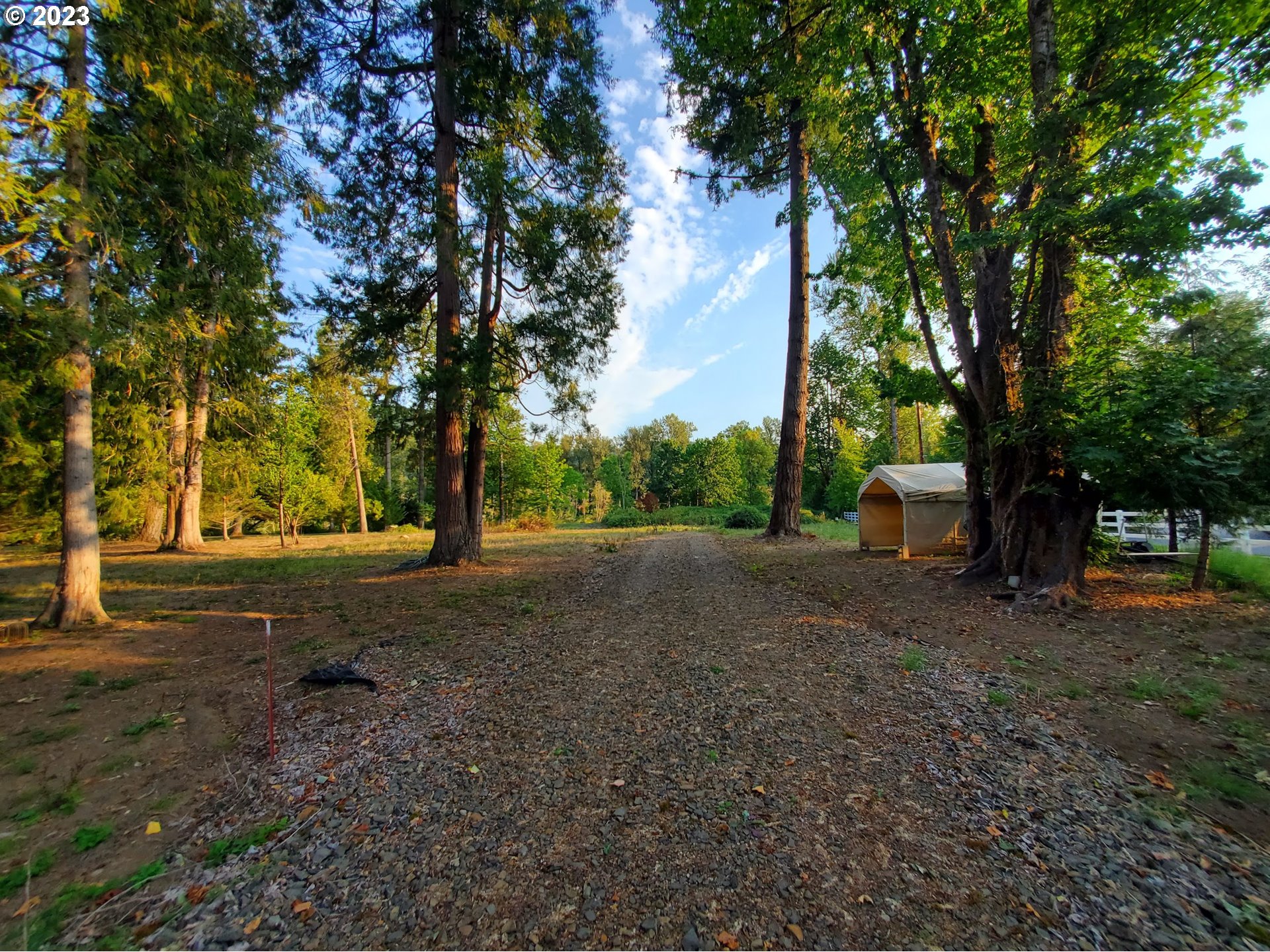 Mckenzie Highway Springfield, OR 97478 - Photo 16 of 29 a view of a tree in the middle of a yard