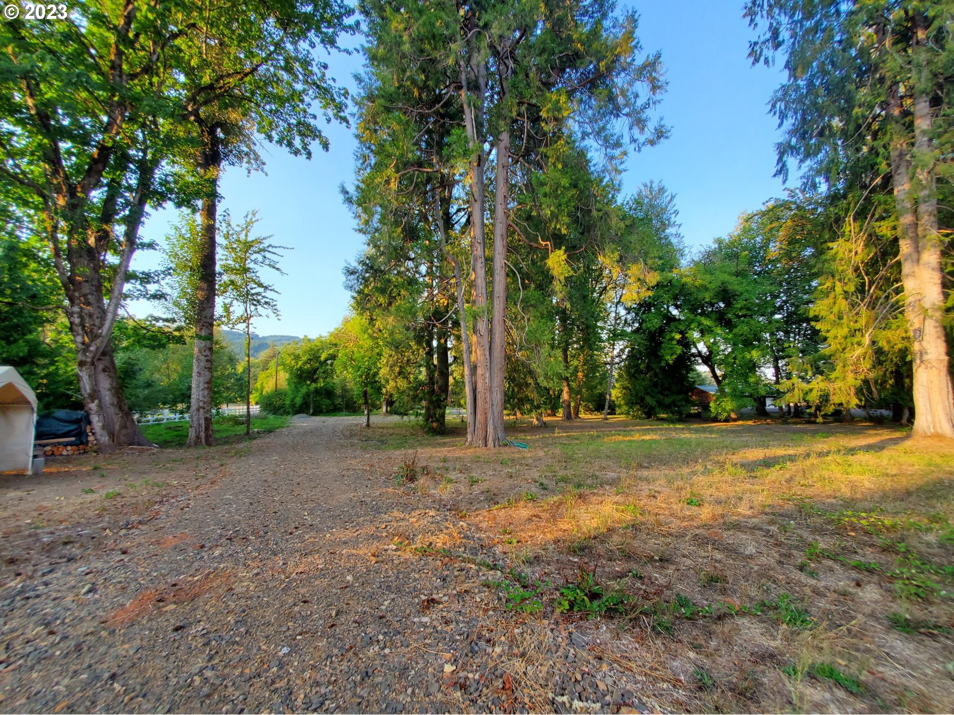 Mckenzie Highway Springfield, OR 97478 - Photo 17 of 29 a view of a tree in the middle of a yard
