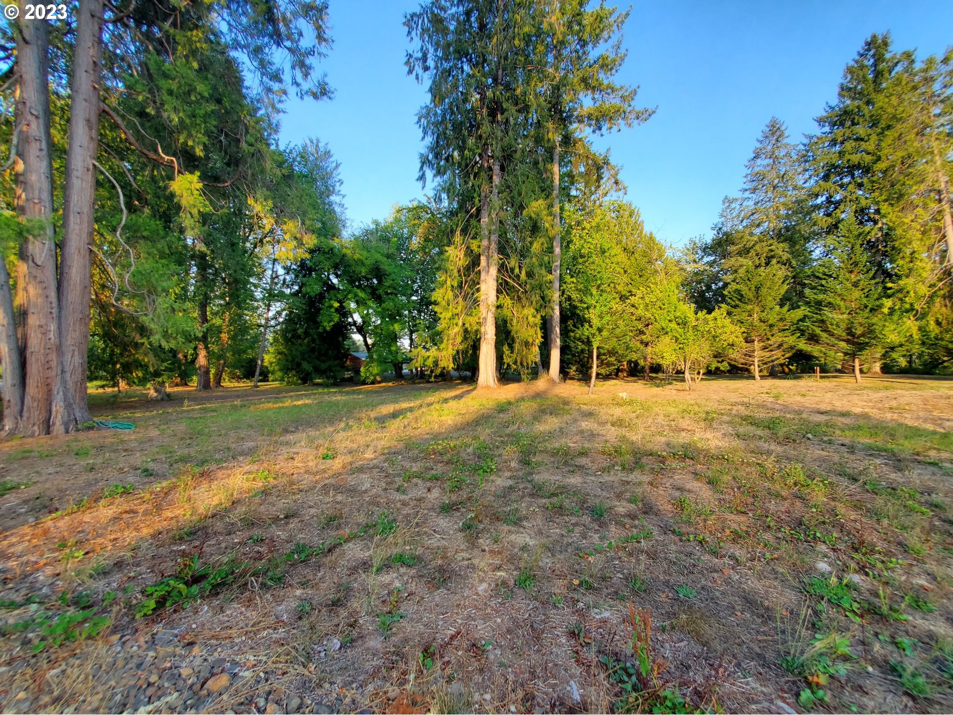 Mckenzie Highway Springfield, OR 97478 - Photo 18 of 29 a view of outdoor space with trees