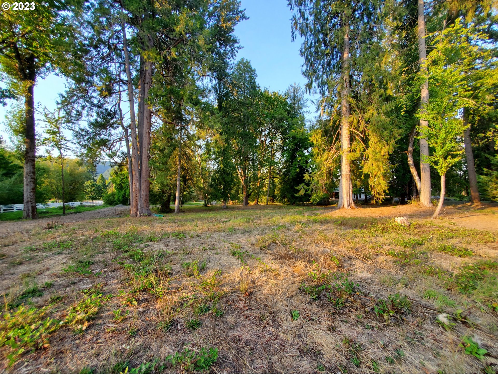 Mckenzie Highway Springfield, OR 97478 - Photo 27 of 29 a view of outdoor space with trees