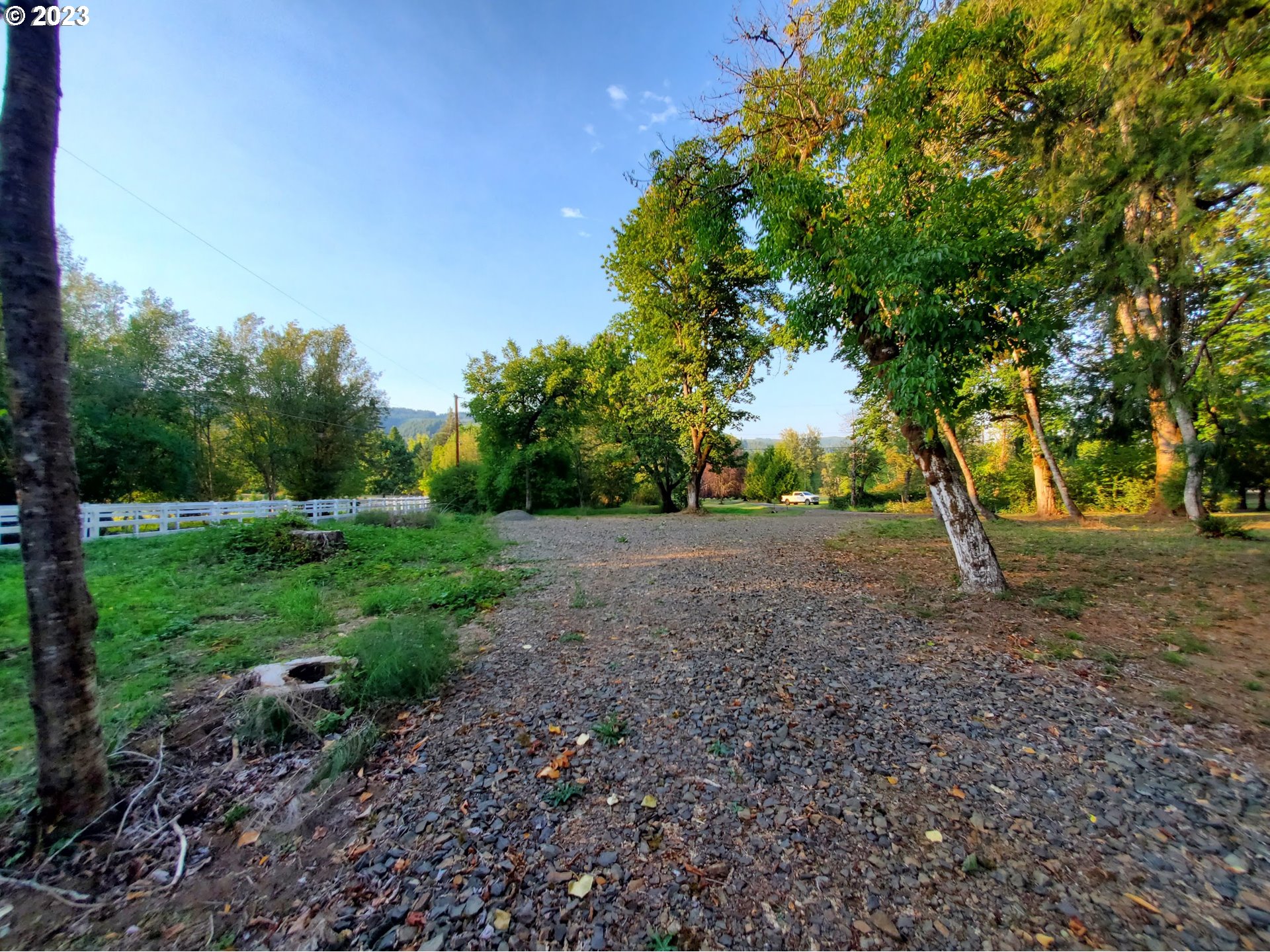 Mckenzie Highway Springfield, OR 97478 - Photo 29 of 29 a view of a forest with trees in the background