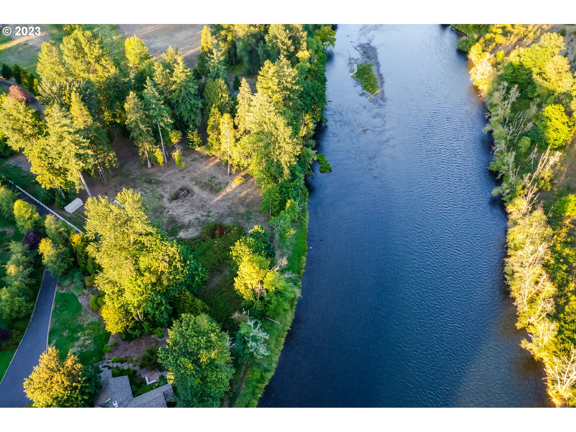 Mckenzie Highway Springfield, OR 97478 - Photo 6 of 29 a view of a plant with a yard