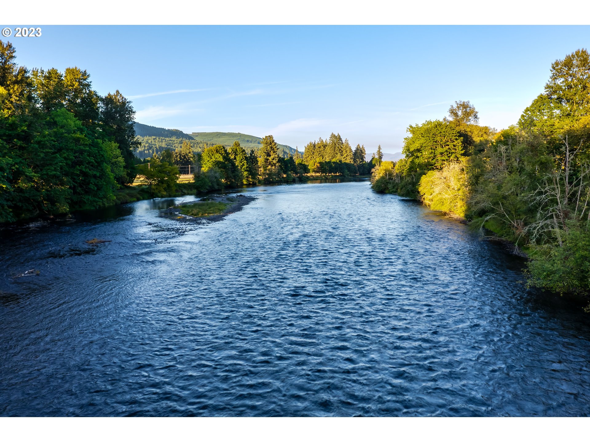 Mckenzie Highway Springfield, OR 97478 - Photo 8 of 29 a view of a yard