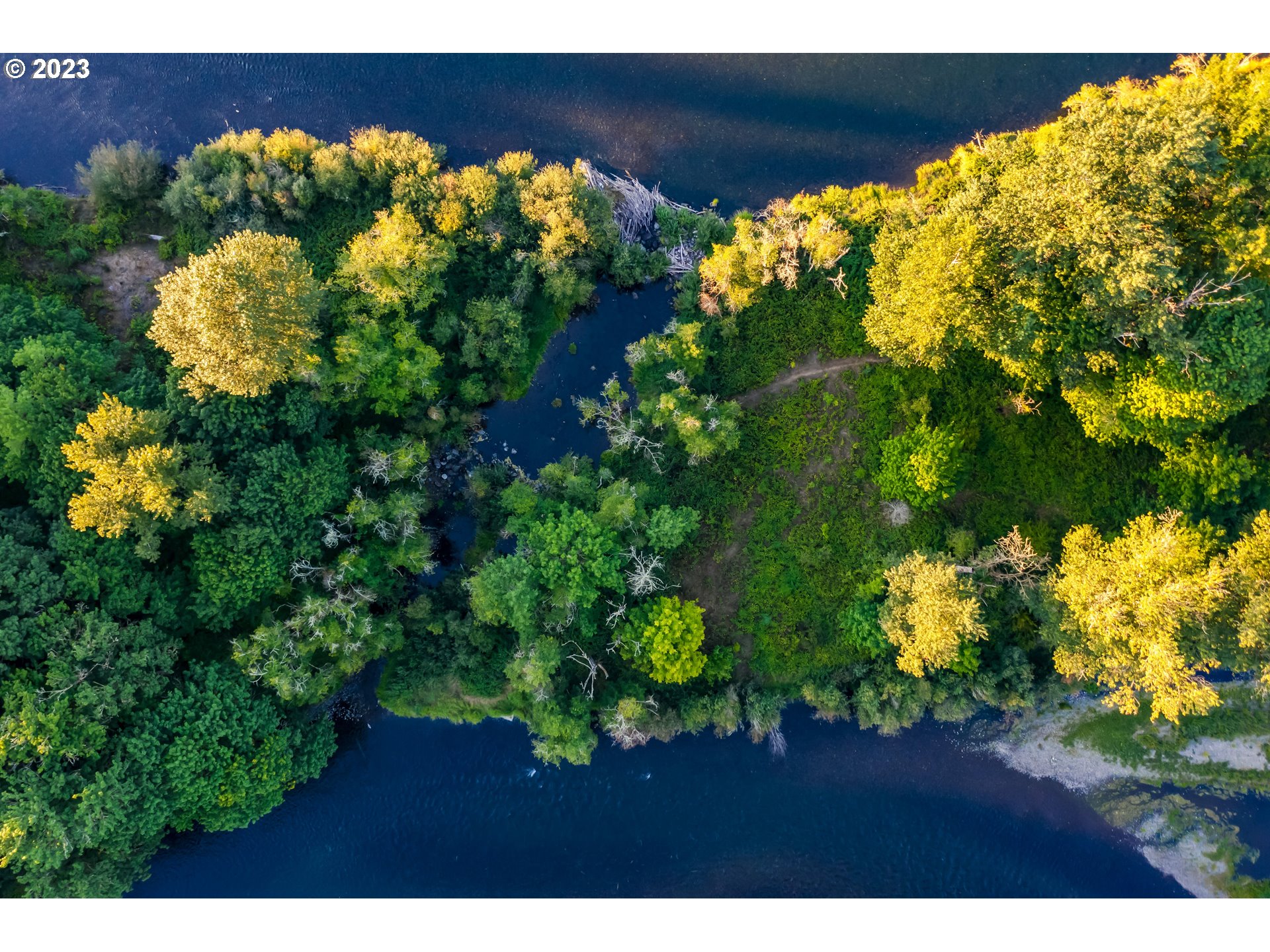 Mckenzie Highway Springfield, OR 97478 - Photo 9 of 29 a view of a bunch of flowers in a garden