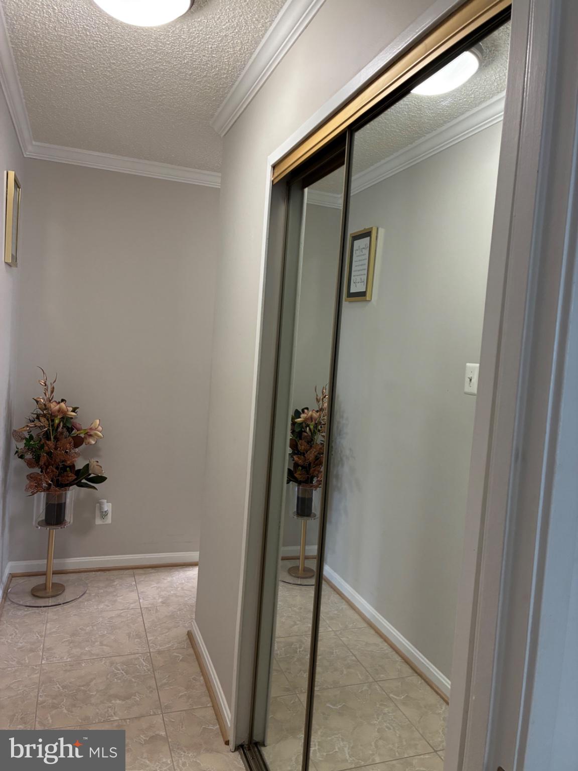 1800 Old Meadow Road, Unit 101 McLean, VA 22102 - Photo 27 of 77 Inviting hallway with mirrored elegance.