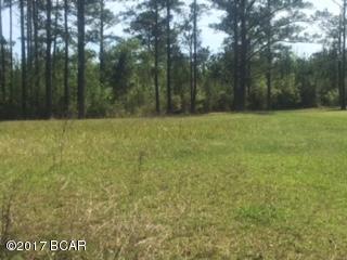 5717 Douglas Ferry Road Caryville, FL 32427 - Photo 3 of 3 Gallery Image 3