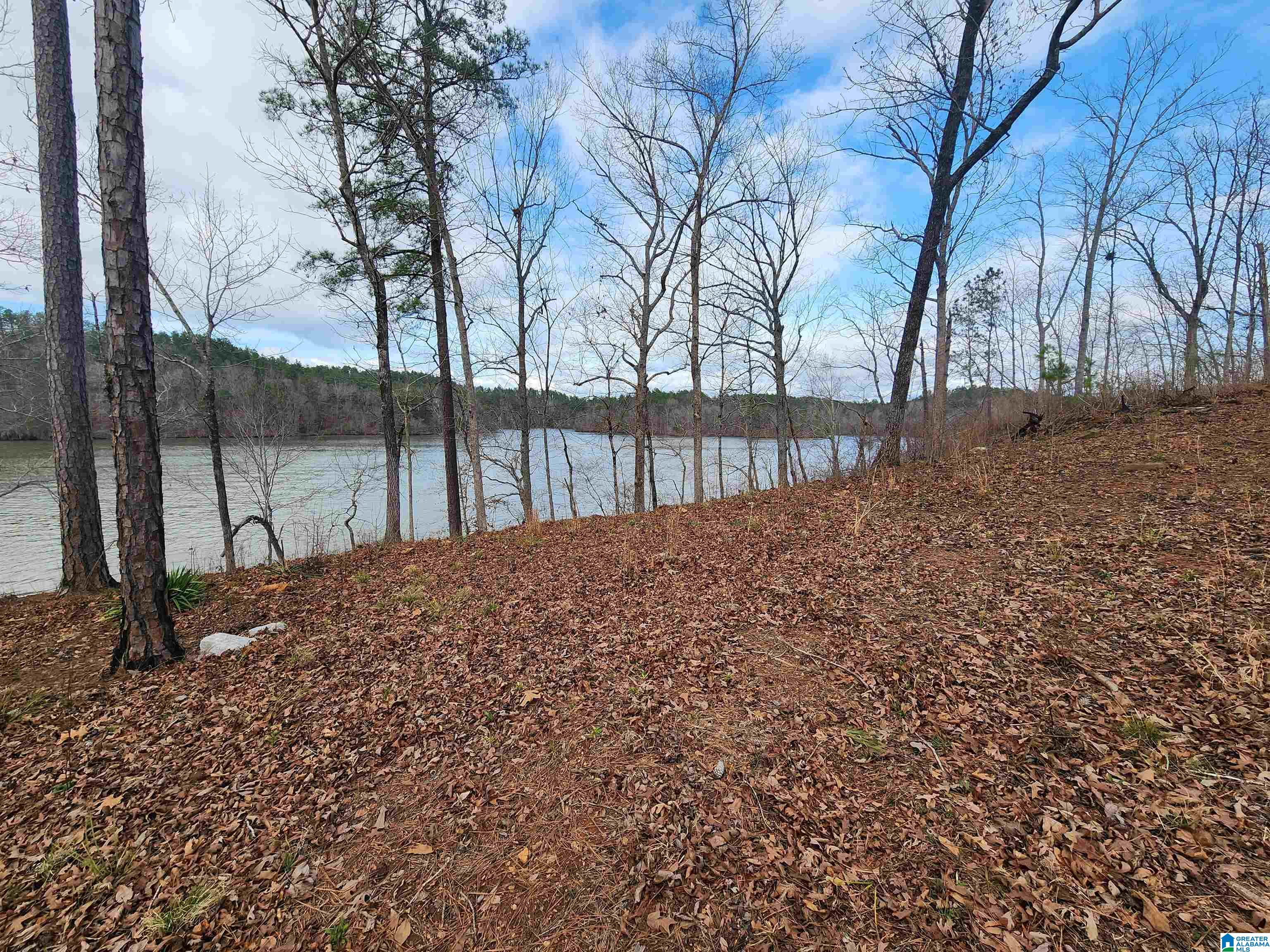 Lot 8 Eagle Mountain Road, Unit 8 Alexander City, AL 35010 - Photo 11 of 27