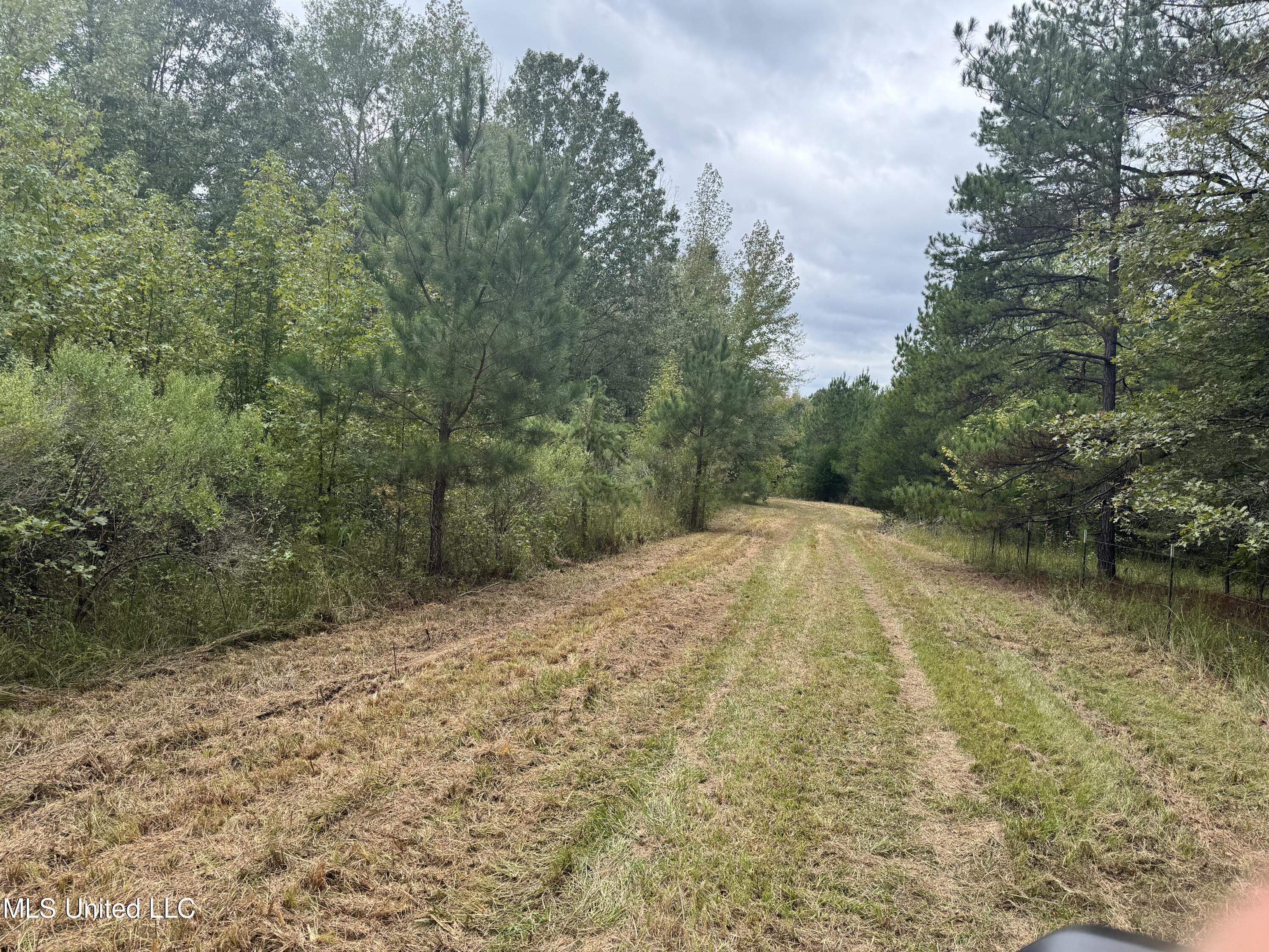 Ben Chapman Road Mendenhall, MS 39114 - Photo 1 of 14 Land
