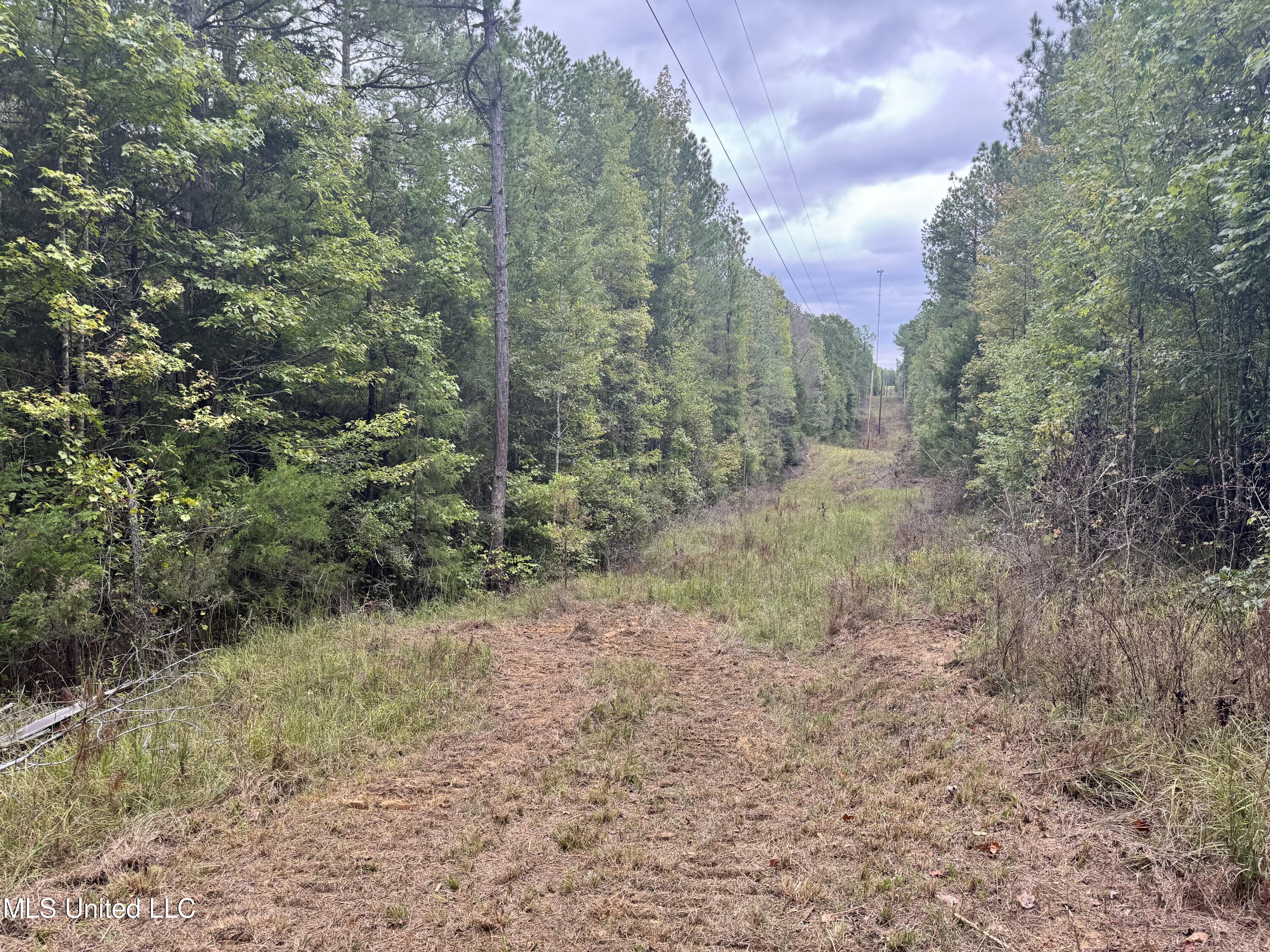 Ben Chapman Road Mendenhall, MS 39114 - Photo 14 of 14 IMG_3242