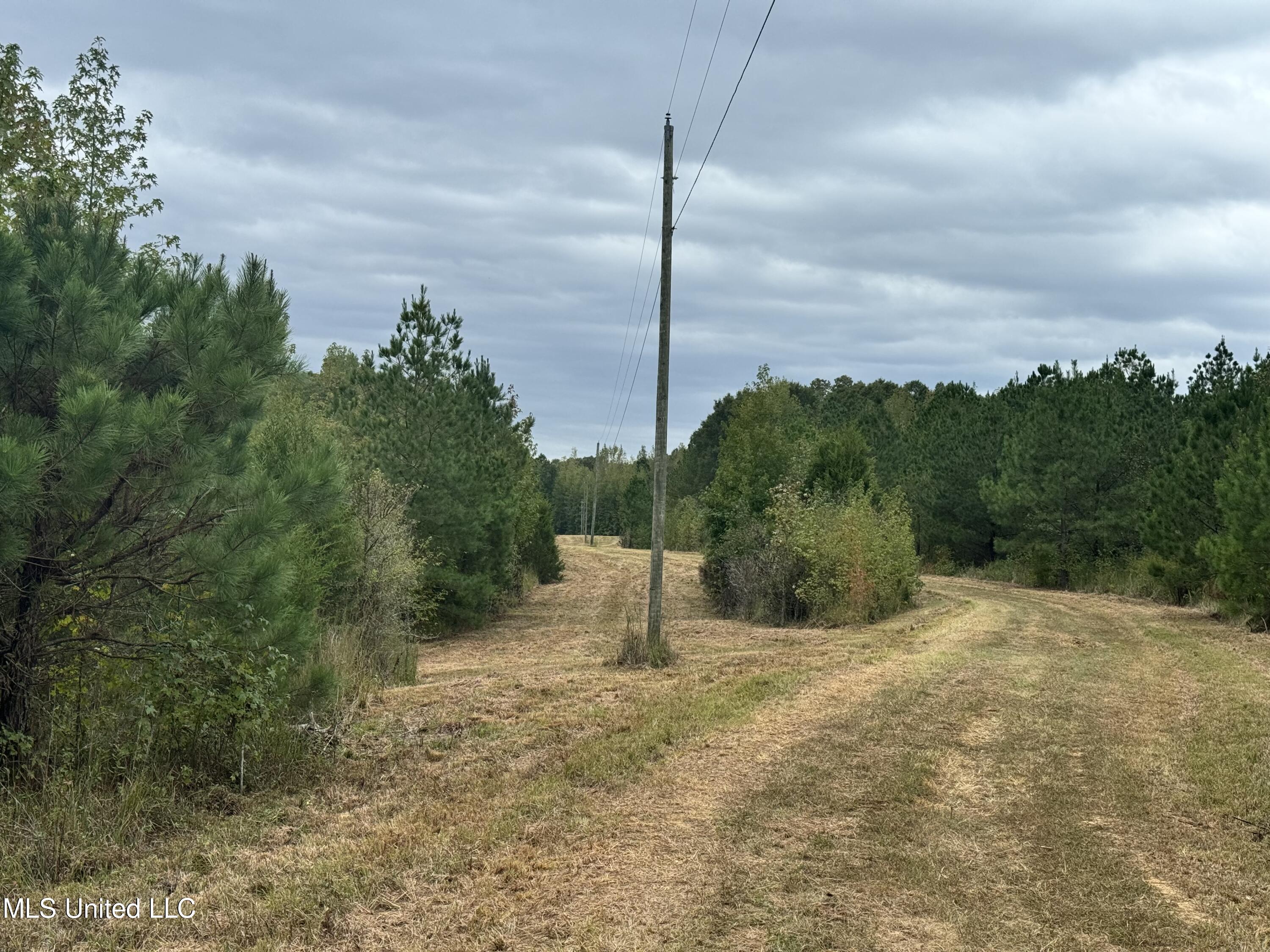 Ben Chapman Road Mendenhall, MS 39114 - Photo 8 of 14 IMG_3234