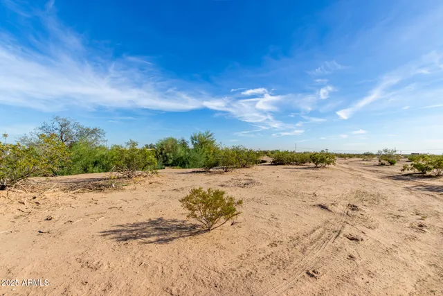a view of a dry yard with wooden fence