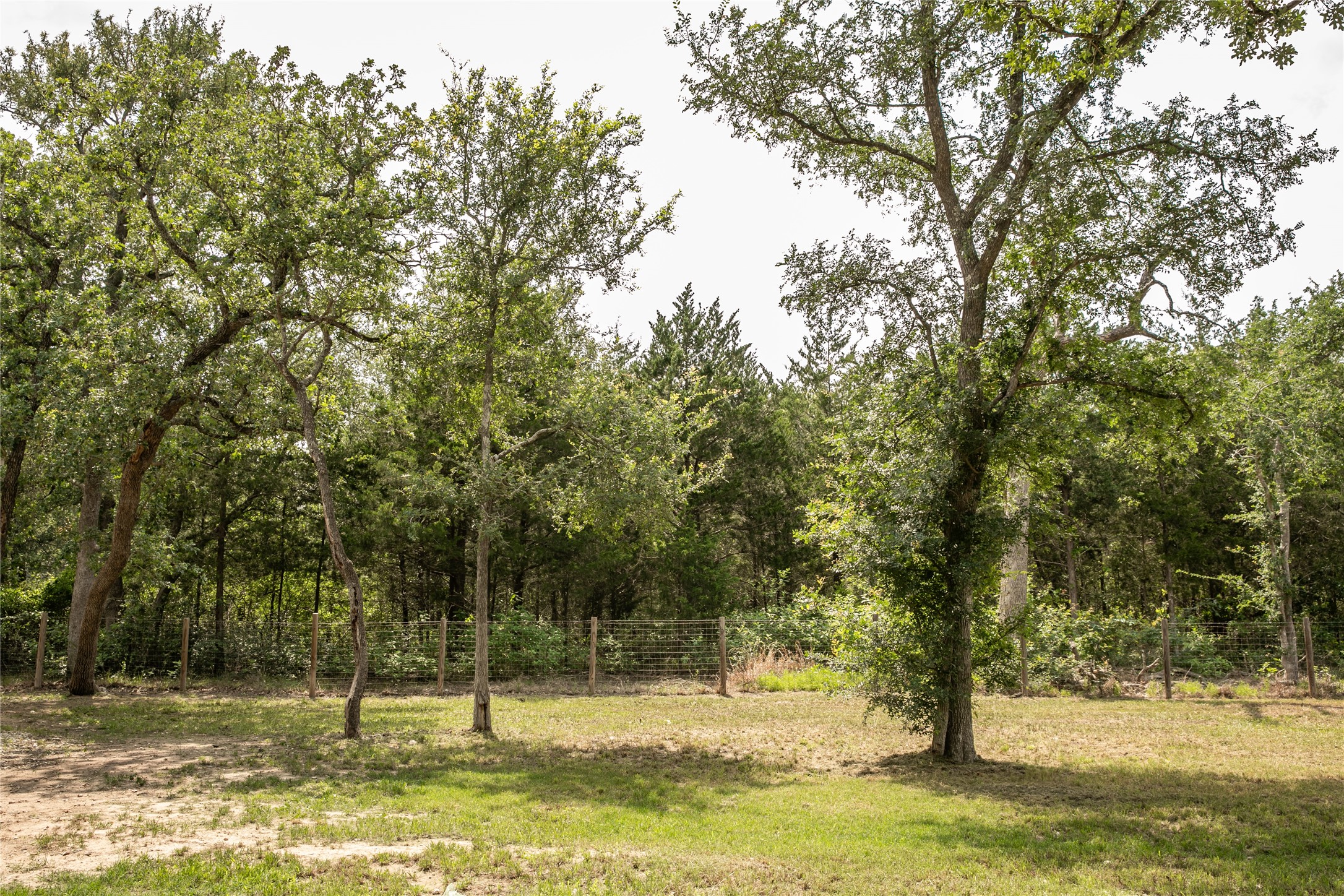 240 Cranberry Road Somerville, TX 77879 - Photo 14 of 32