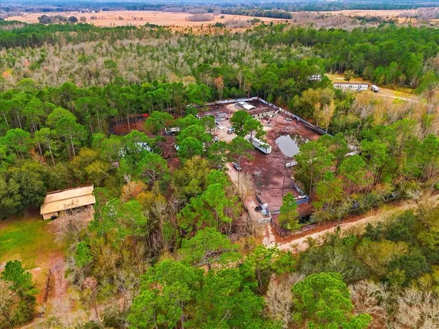 a view of a bunch of trees and bushes