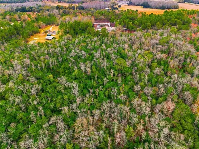 an aerial view of residential houses with outdoor space and trees all around