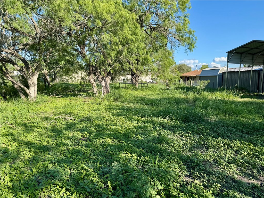 24748 County Road 350 Mathis, TX 78368 - Photo 28 of 35