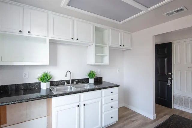 a kitchen with white cabinets a potted plant and a sink