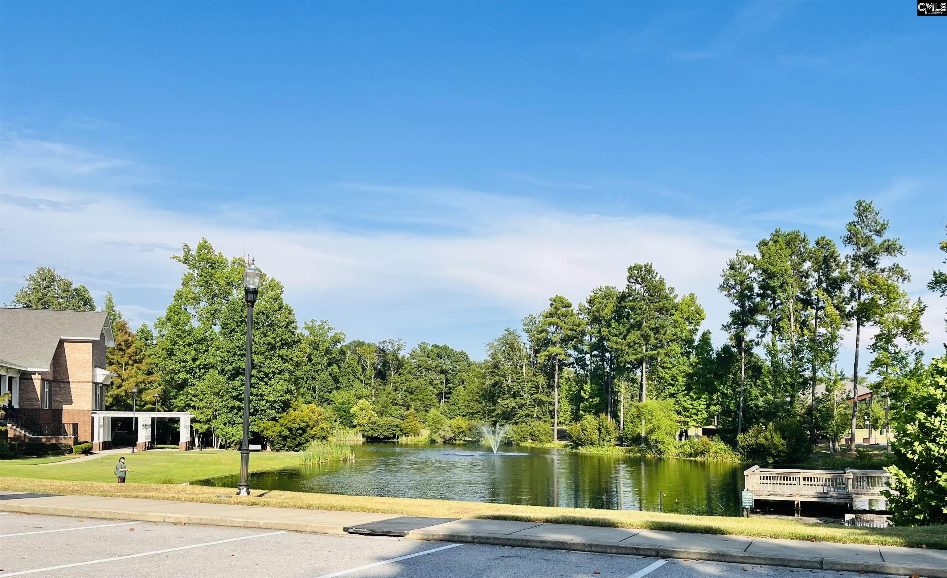 3073 Hanging Valley Road Blythewood, SC 29016 - Photo 57 of 58 Gallery Image 57