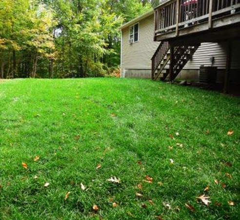 5 Kingsbury Road Webster, MA 01570 - Photo 28 of 29 a view of a backyard with plants and large trees
