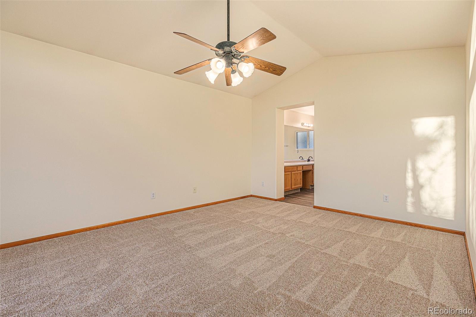 9917 Silver Maple Road Highlands Ranch, CO 80129 - Photo 18 of 35 Gallery Image 18