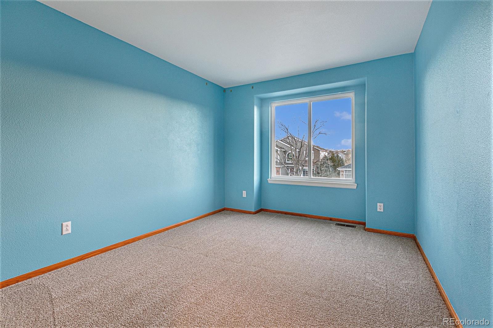 9917 Silver Maple Road Highlands Ranch, CO 80129 - Photo 22 of 35 Gallery Image 22