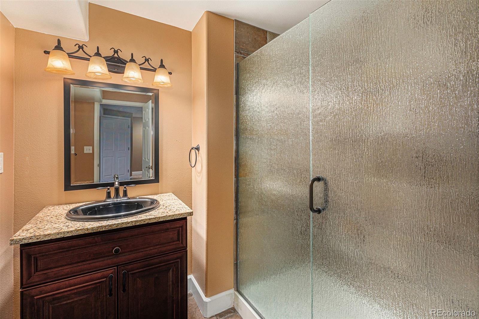 9917 Silver Maple Road Highlands Ranch, CO 80129 - Photo 29 of 35 Gallery Image 29