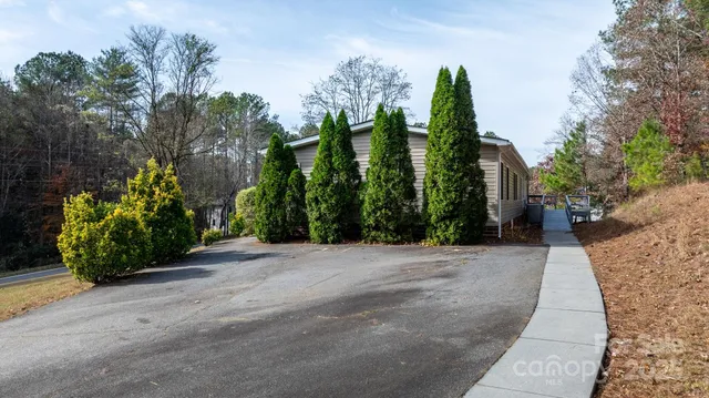 a view of a garden with plants