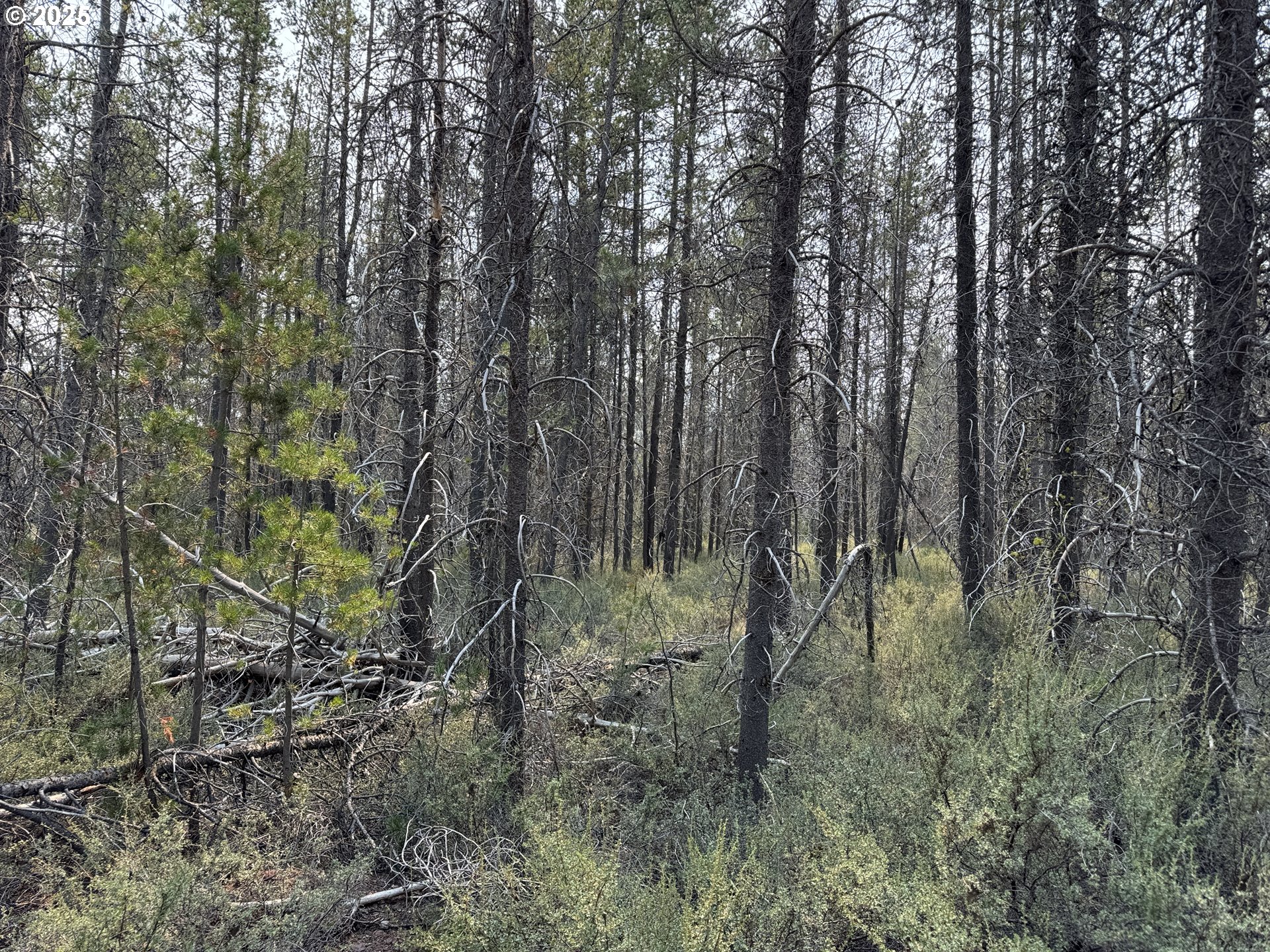 Cloudcap Drive, Unit 1 Chiloquin, OR 97624 - Photo 12 of 23