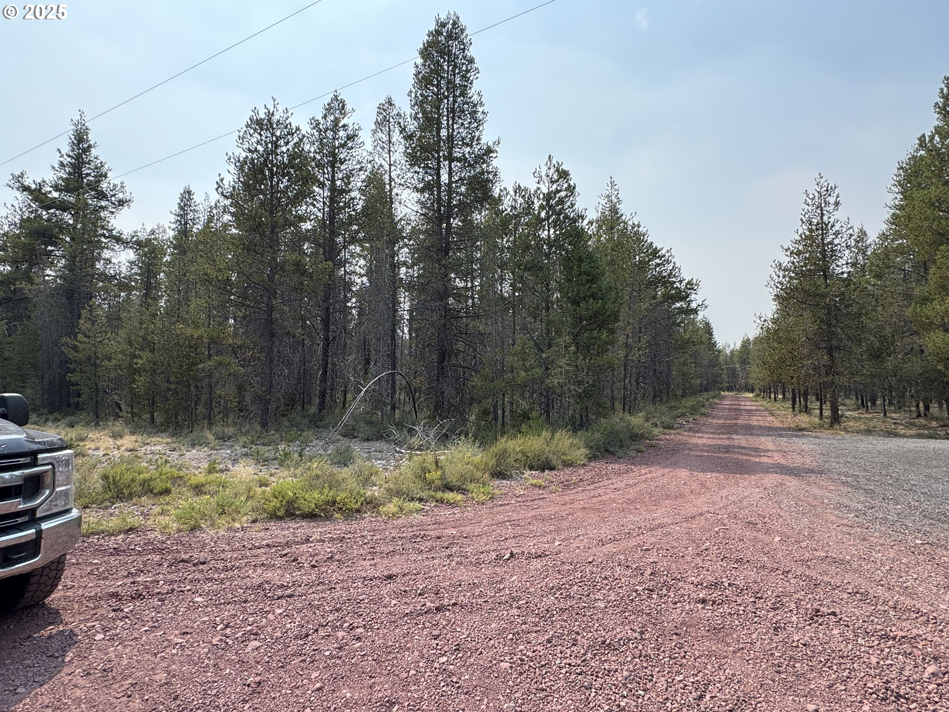 Cloudcap Drive, Unit 1 Chiloquin, OR 97624 - Photo 21 of 23 a backyard of a house with lots of green space