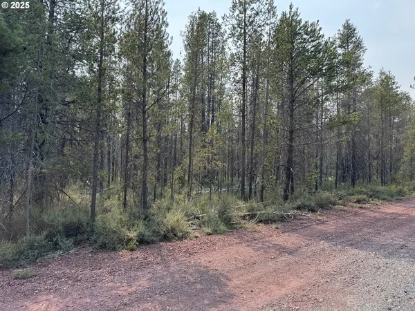 $16,000 | Cloudcap Drive, Unit 1, Chiloquin, OR 97624